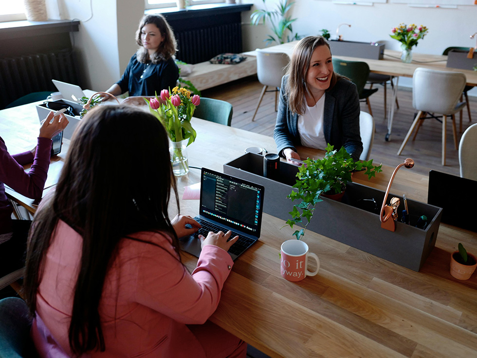 Escritórios e Empresas em Geral