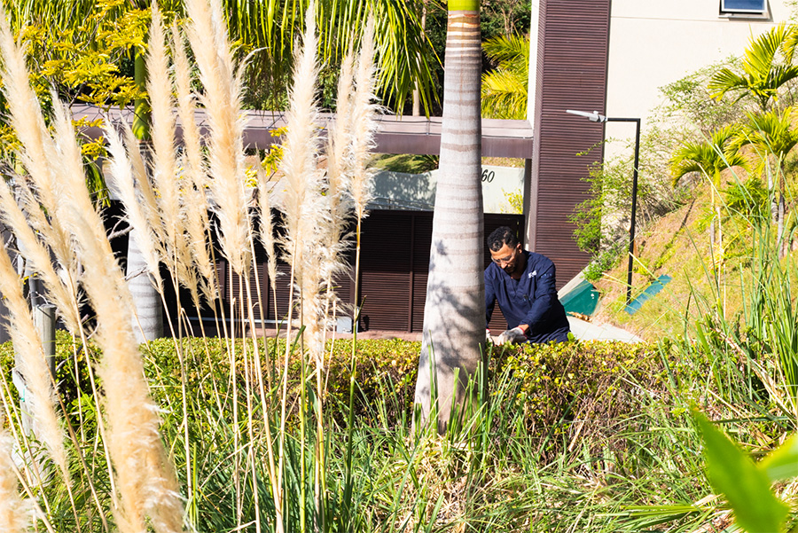 Jardinagem e paisagismo