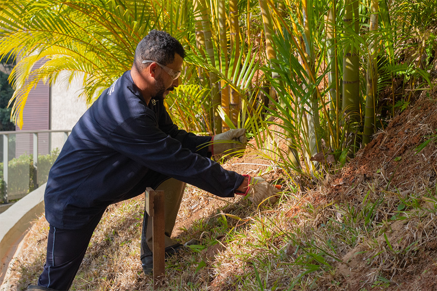 Jardinagem e paisagismo